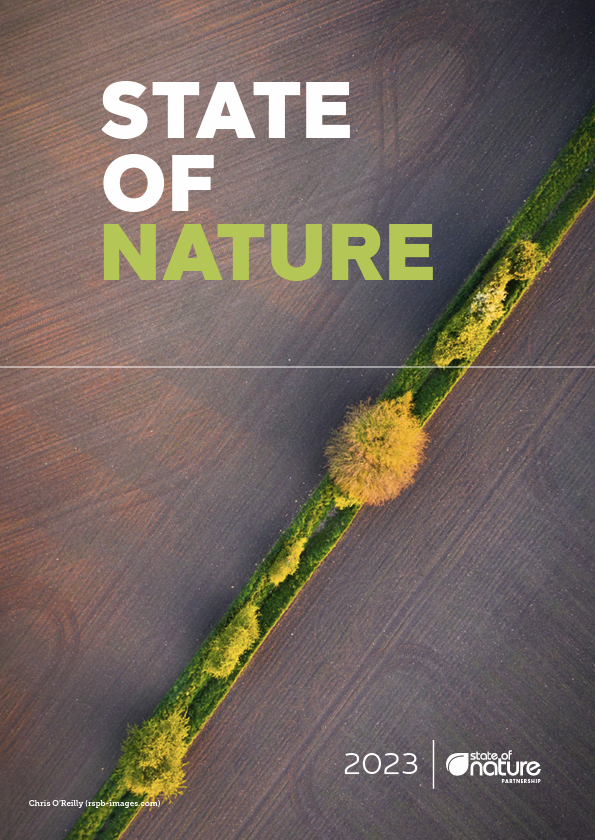 State of Nature 2023 cover