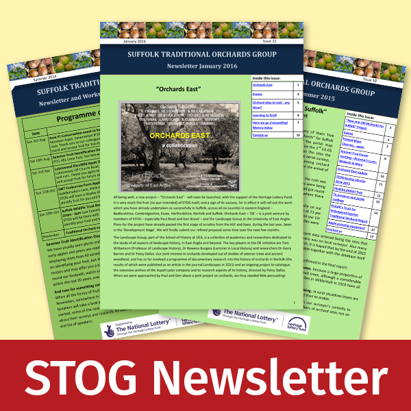 Covers of STOG newsletters