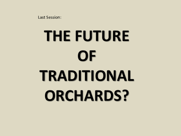 The future of Traditional Orchards panel discussion