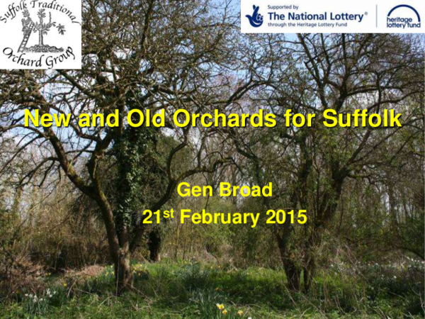 Results from the New and Old Orchards for Suffolk HLF funded project - Gen Broad