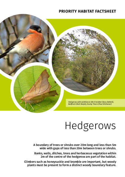 Suffolk's Priority Habitats - Hedgerow