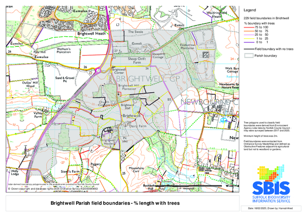 Brightwell 1: length with trees