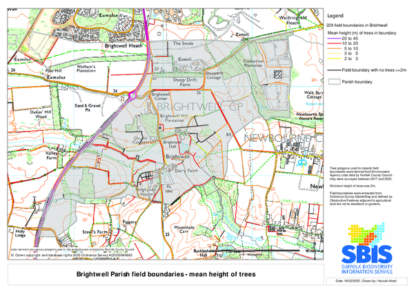 Brightwell 2: mean height