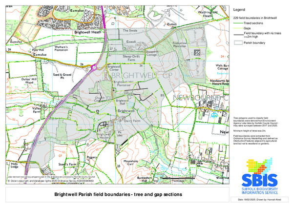 Brightwell 3: trees & gaps