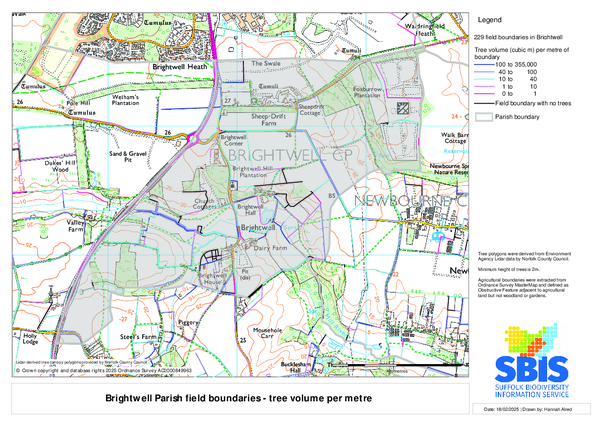 Brightwell 4: volume/m
