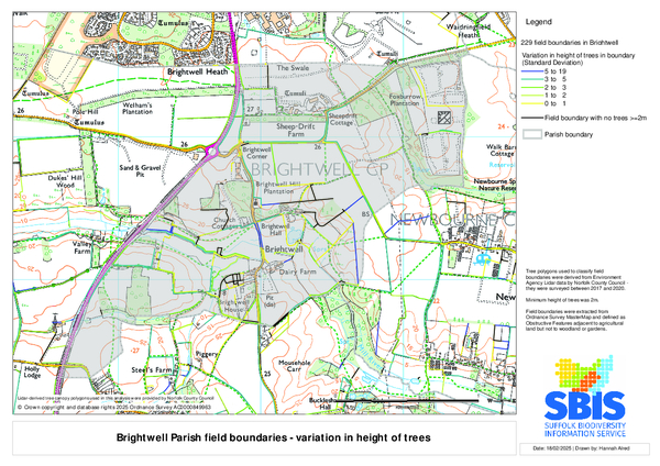 Brightwell 5: height variation