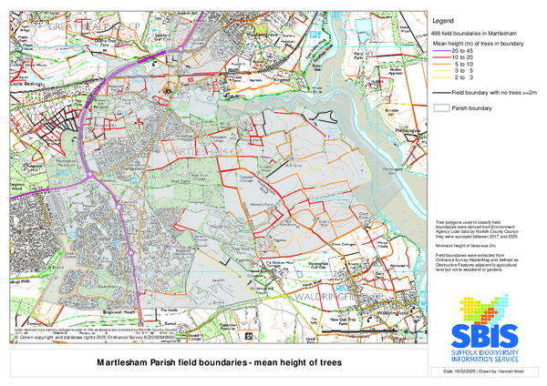 Martlesham 2: mean height