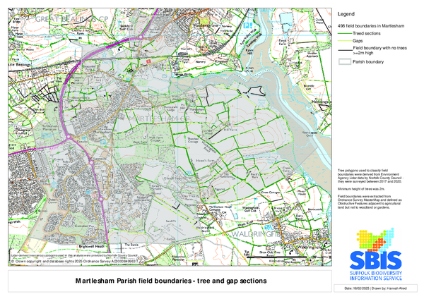 Martlesham 3: trees & gaps