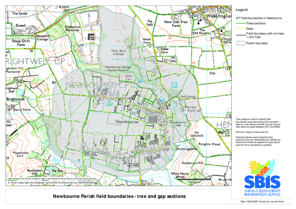 Newbourne 3: trees & gaps