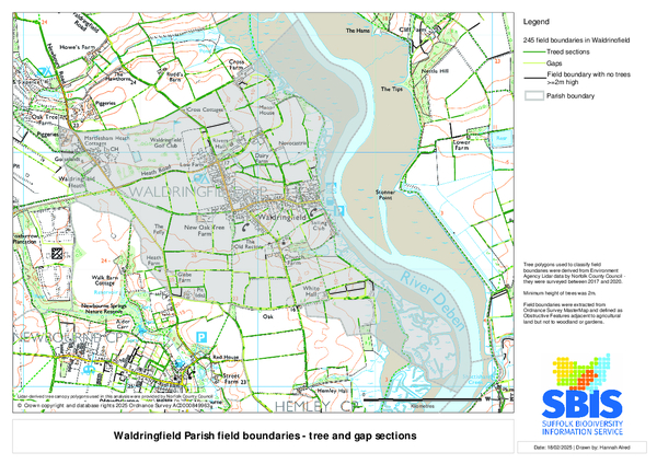 Waldringfield 3: trees & gaps