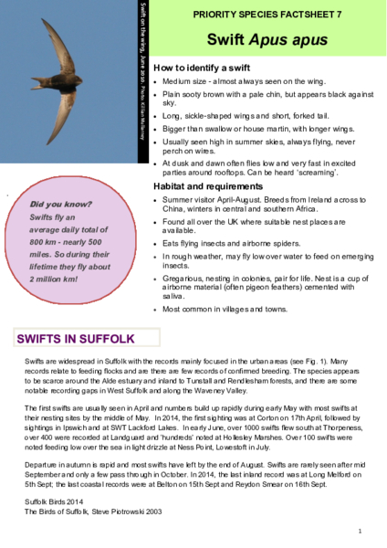 Swift factsheet, 2016