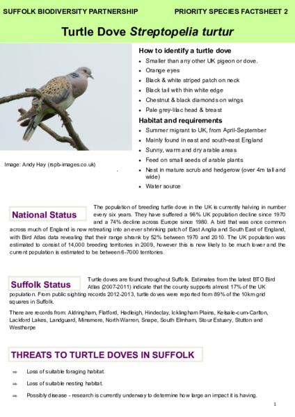Turtle Dove Factsheet, 2015