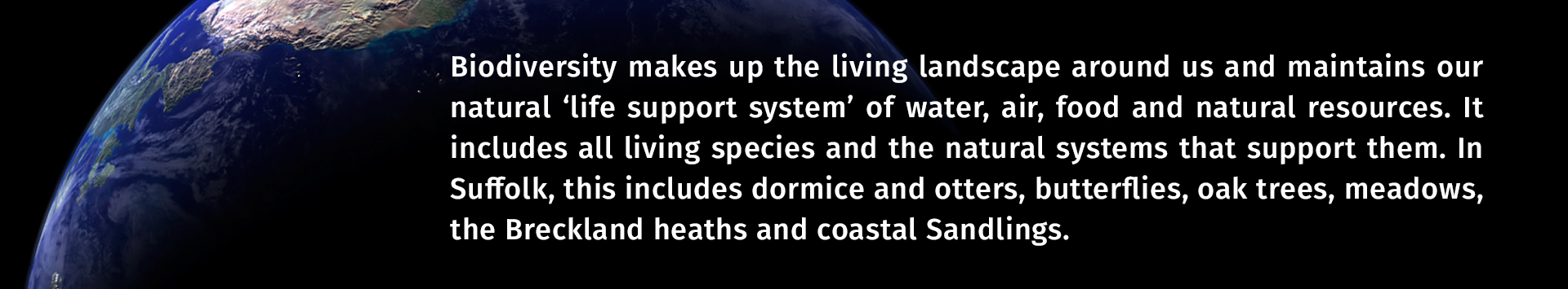Satellite view of earth with this text over, Biodiversity makes up the living landscape around us and maintains our natural ‘life support system’ of water, air, food and natural resources. It includes all living species and the natural systems that support them. In Suffolk, this includes dormice and otters, butterflies, oak trees, meadows, the Breckland heaths and coastal Sandlings. READ MORE... 