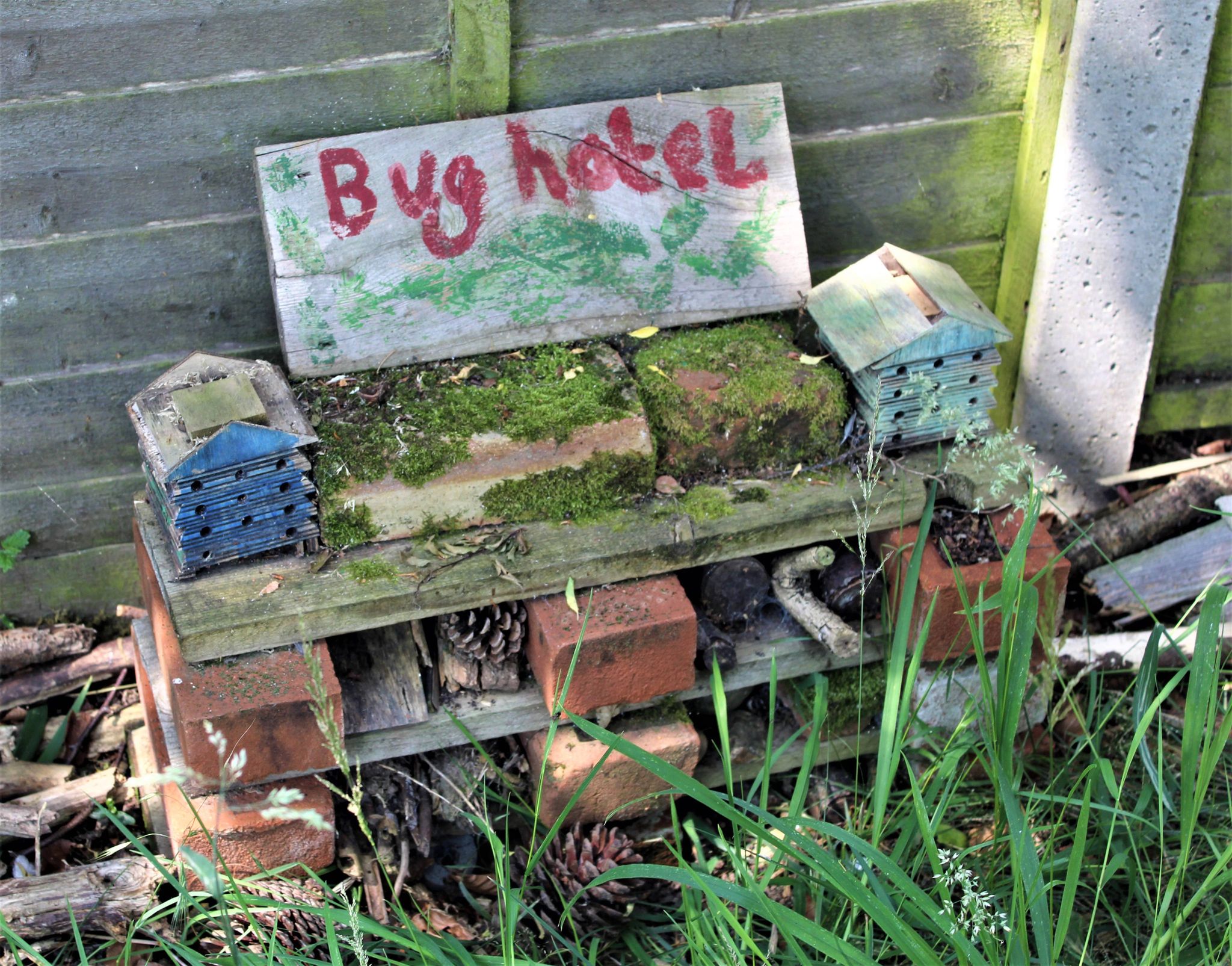 Bug hotel