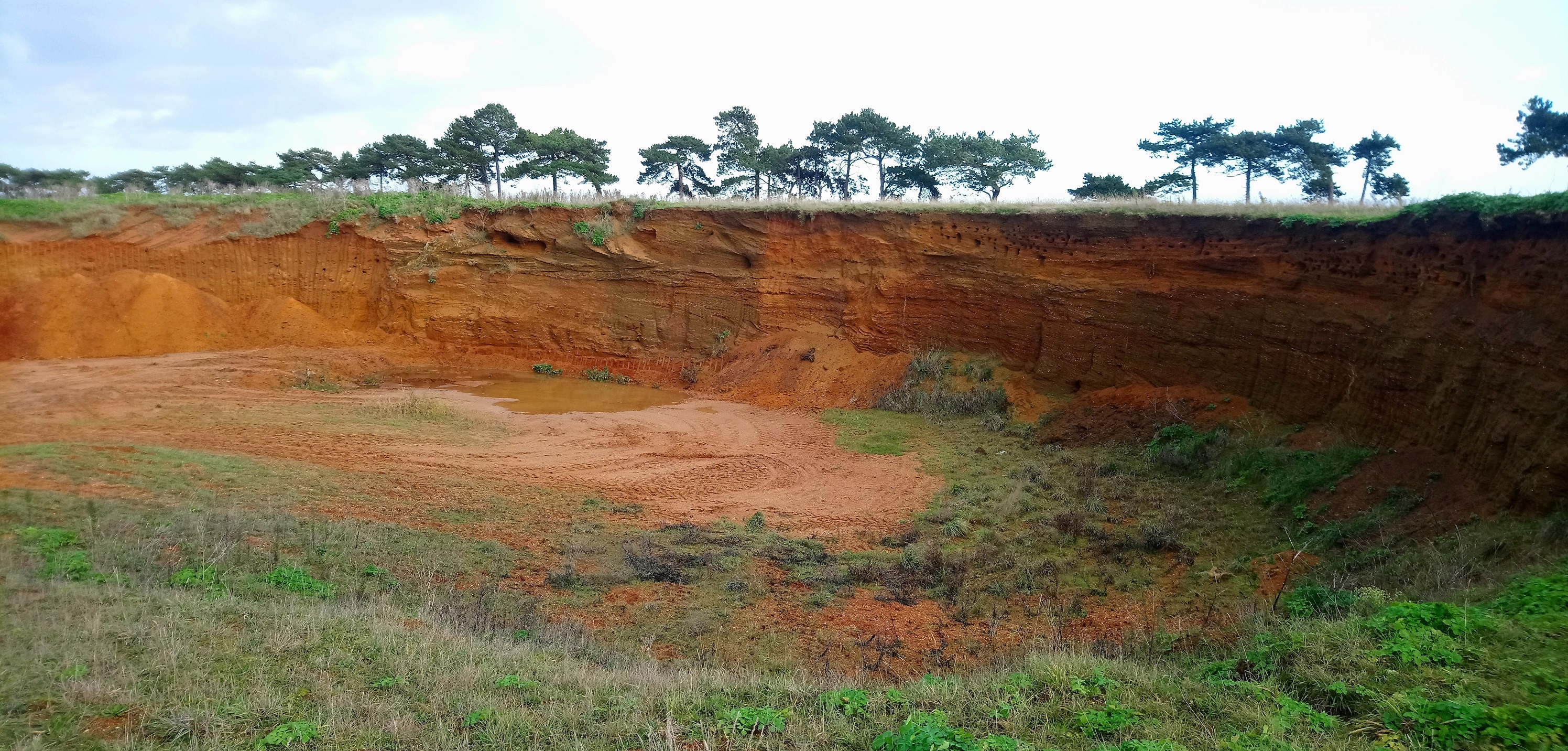 Buckanay Farm pit SSSI