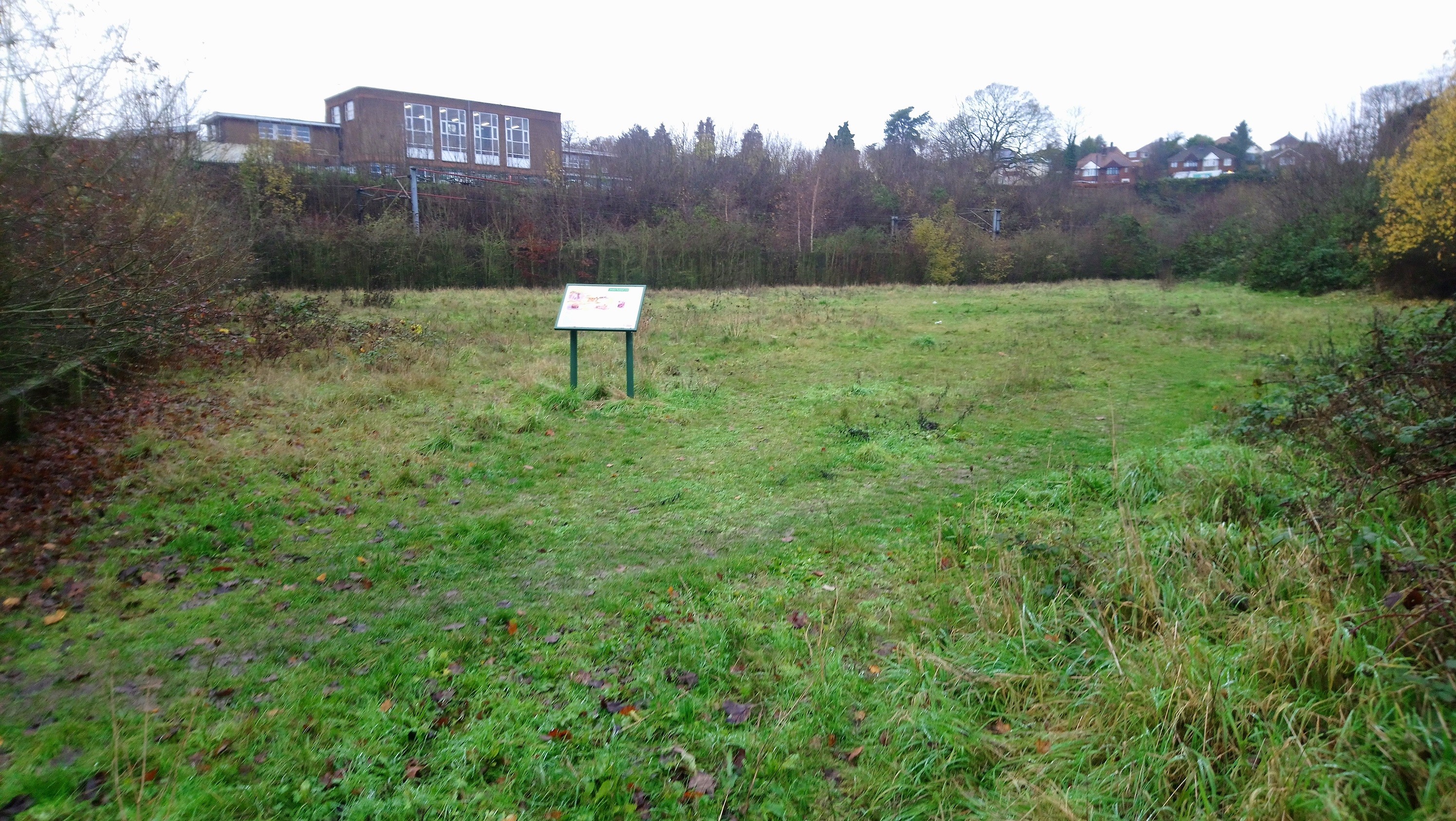 Stoke Tunnel Cutting SSSI