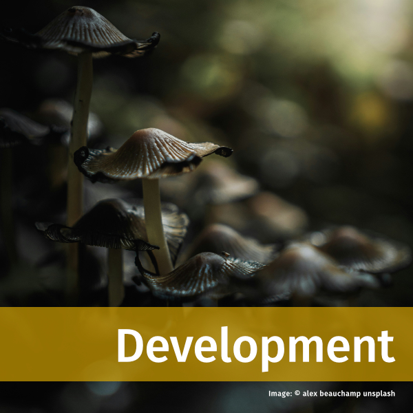 Link to Public bodies page