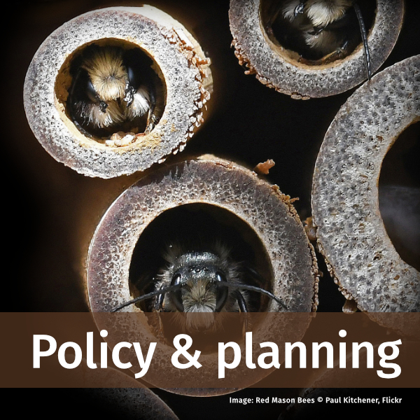 Link to Planning pages