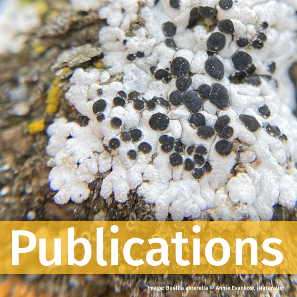 Link to Publications page