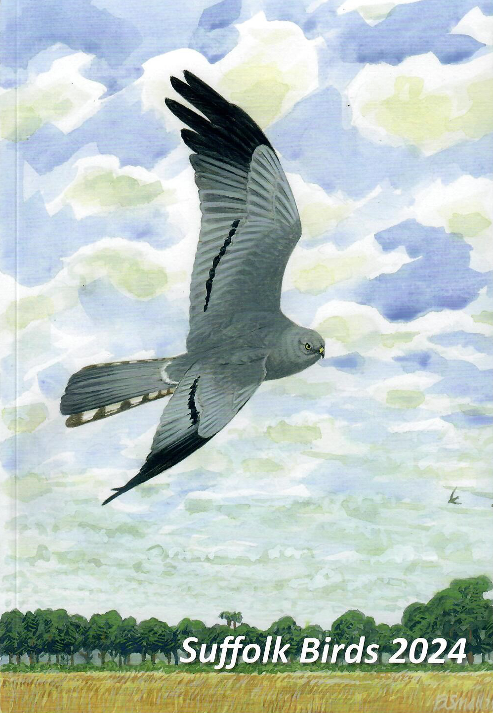 Suffolk Birds 2023, volume 73 cover image